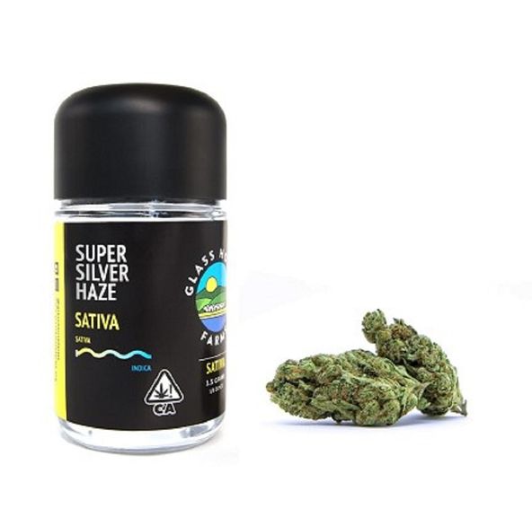 Super Silver Haze
