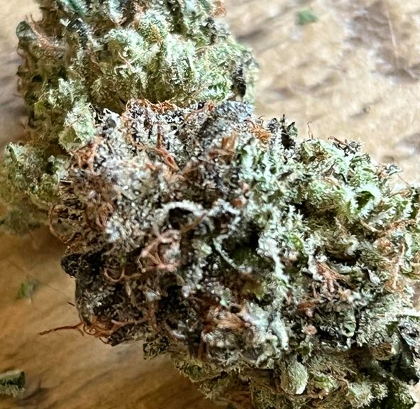 Booberry Cookies