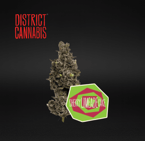 District Cannabis | Cherry Limeade Cake - Flower | 3.5g | Hybrid