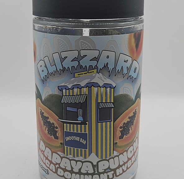 Blizzard - Papaya Punch - 28G