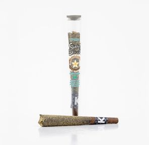 1 x 1g Shatter Infused Blunt Hybrid Vanilla Bean by KushKraft