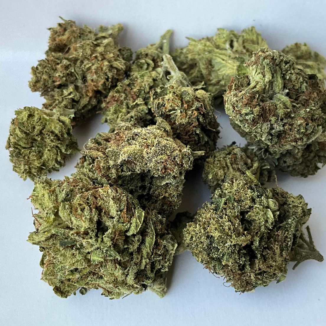 Bro Grown - Blue Afghan 7G - FLOWER