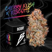 BOSKY GENETICS- 3.5G CHERRY KUSH X BISCOTTI X SHERB