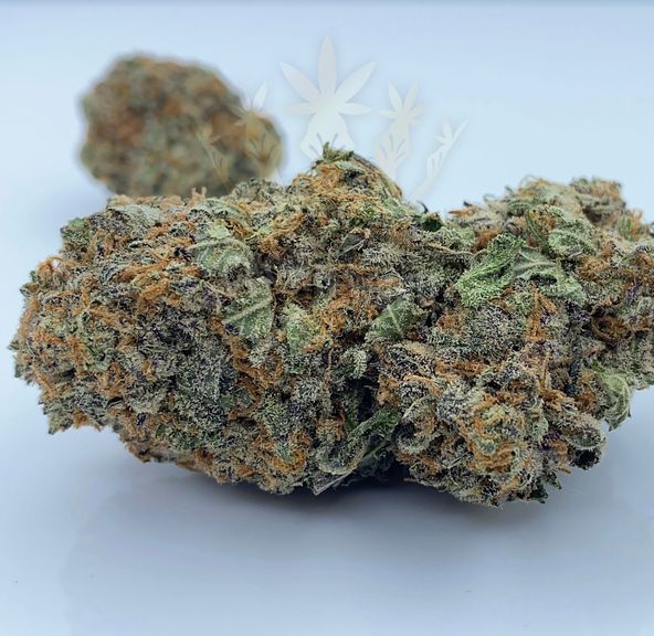 Dolato 3.5g(1/8)