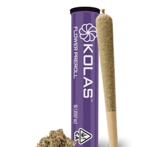 Gg4