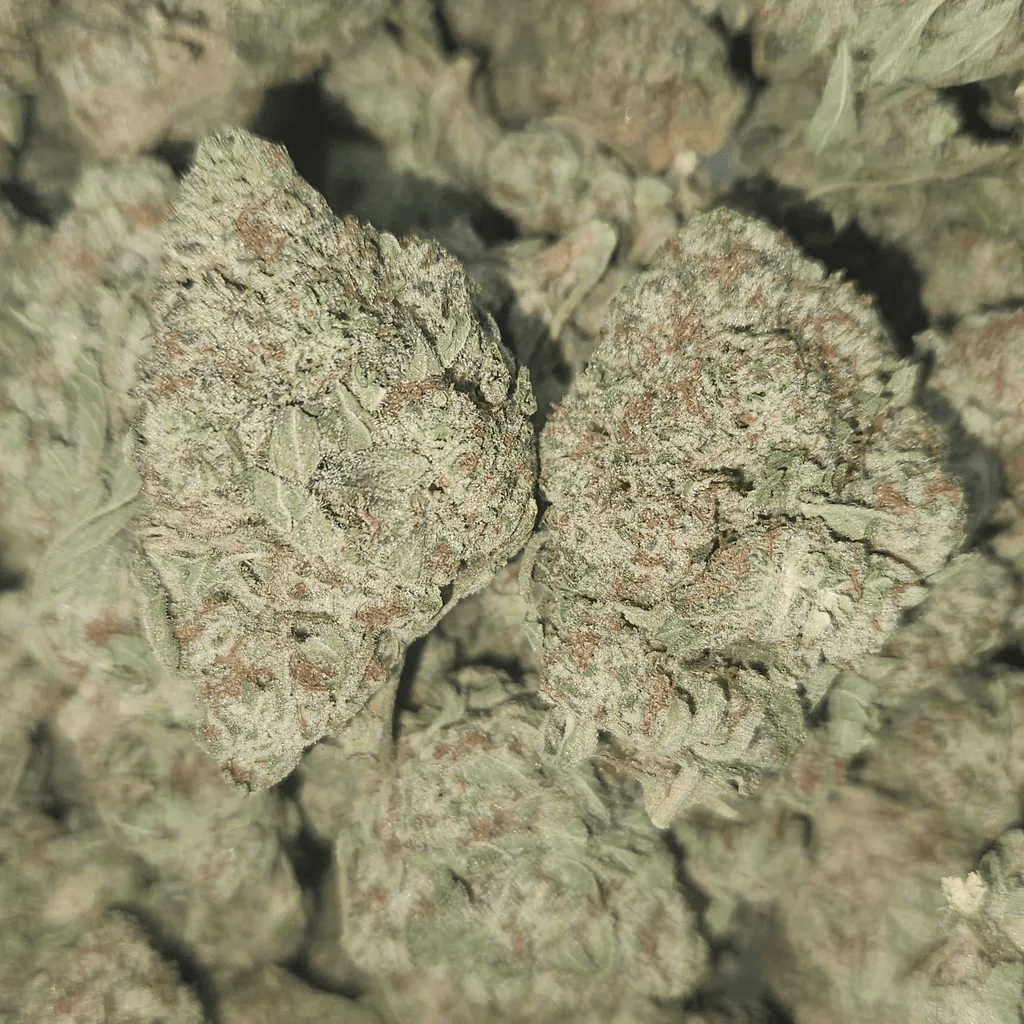 STRAWBERRY BUBBLES - STAFF PICKS