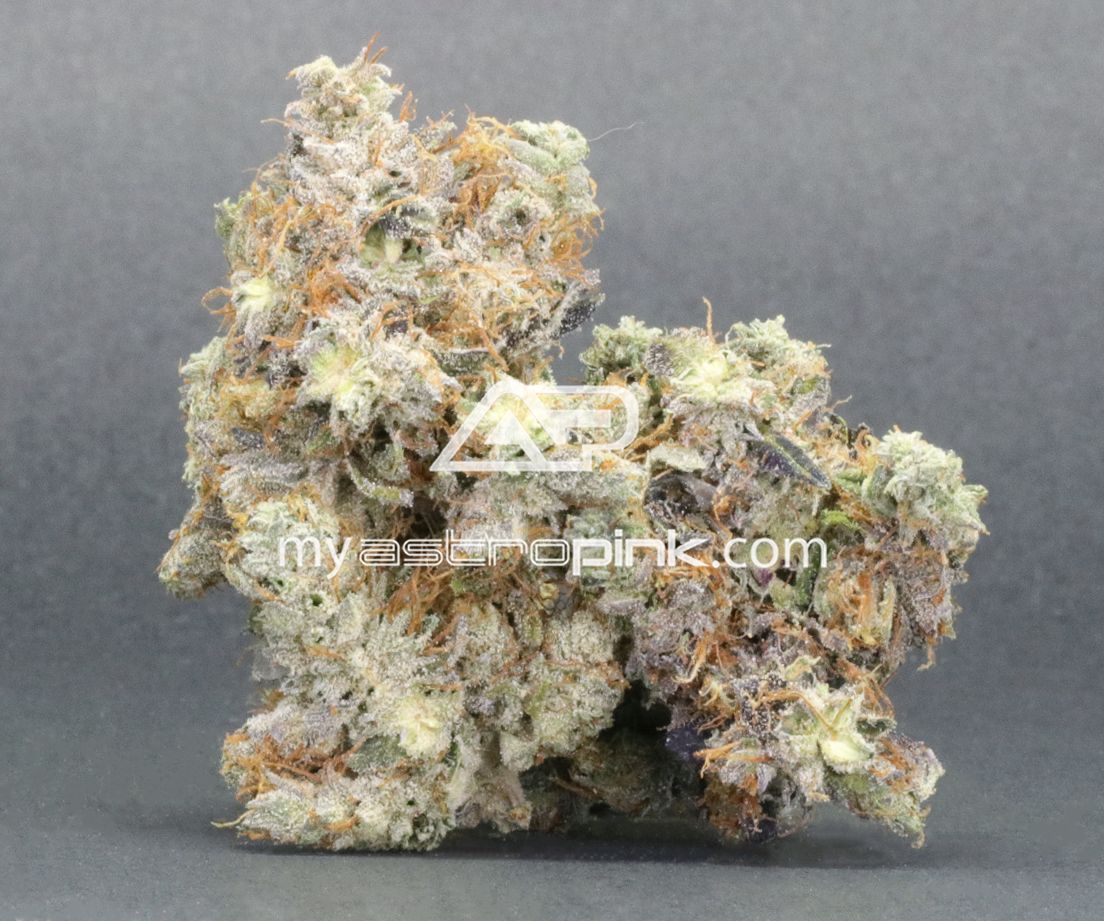 Astro Pink Lot #6013 Pink Patron