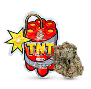 TNT 3.50 g