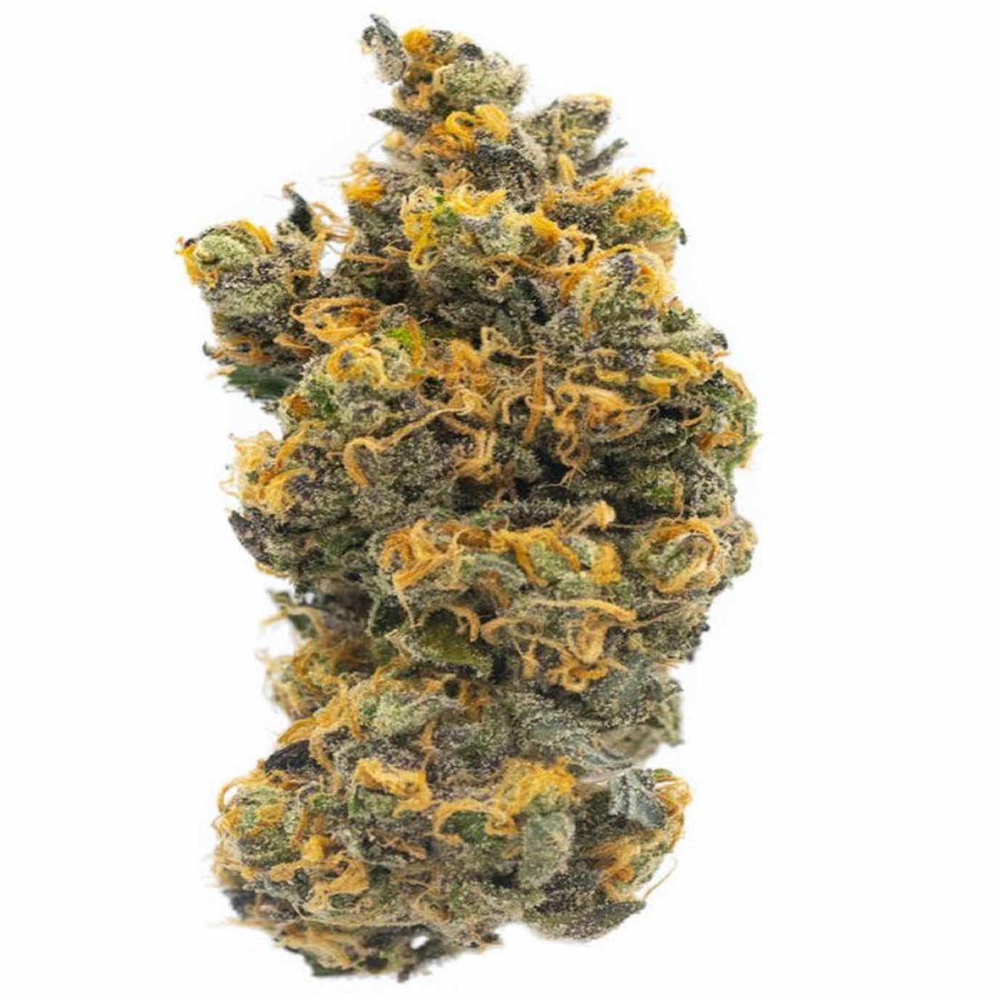 Cookies High Light | London Pound Cake #75