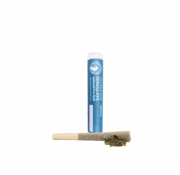 Himalaya Infused Pre-roll Leftover Cake 1g