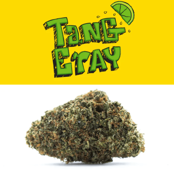 Lemonnade - TangEray (sungrown)