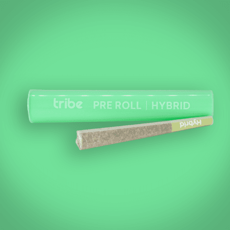 Chimera - Hybrid - Flower Pre Roll