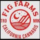 Fig Farms - GMO-SHERB (35.4% Indica Hybrid) - 3.5g Flower
