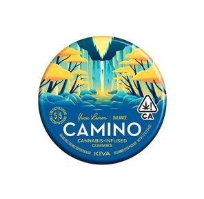 Camino Tin Yuzu Lemon 1:1 / CBD:THC