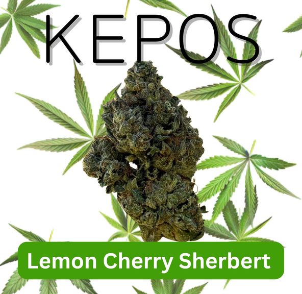 Kepos - Lemon Cherry Sherbert 3.5g - PREMIUM FLOWERS