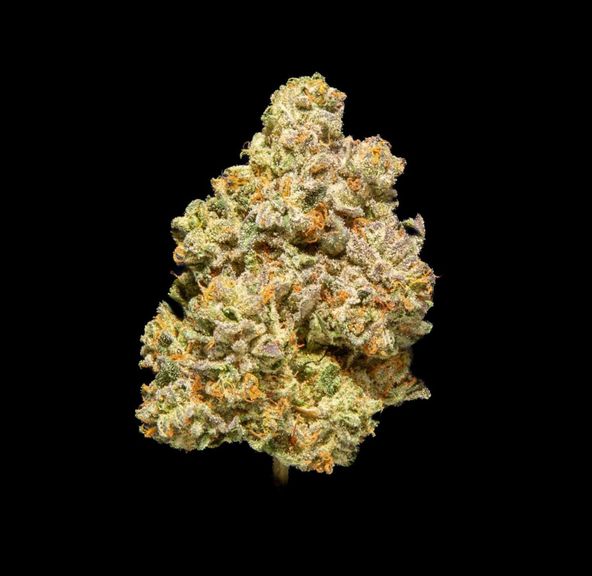 HUMBOLDT GROWERS NETWORK - GUSHMINTS 28G INDICA