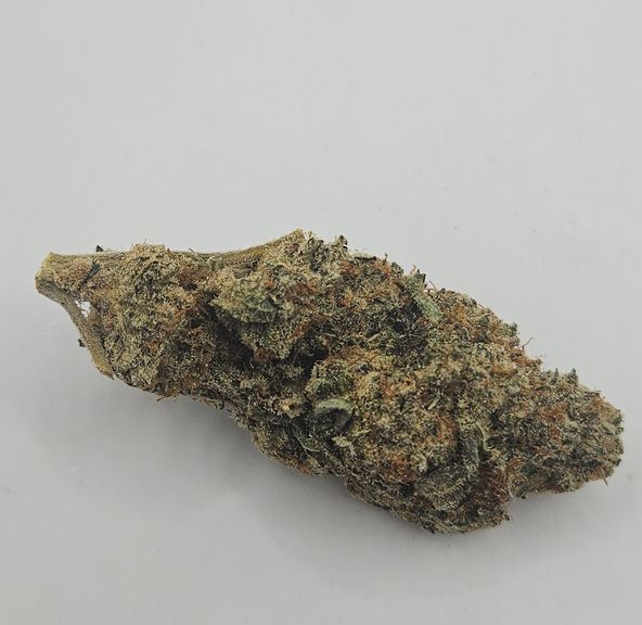 *Indoor - Zoap - 26% - H