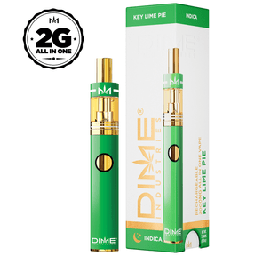 DIME KEY LIME PIE DISPOSABLE 2G