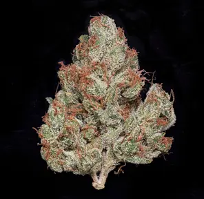 MVN - Mandarin Gold - Eighth -PP