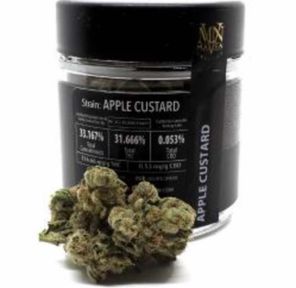MVN - Apple Custard - Packaged Case - 1/8 - 32 Units