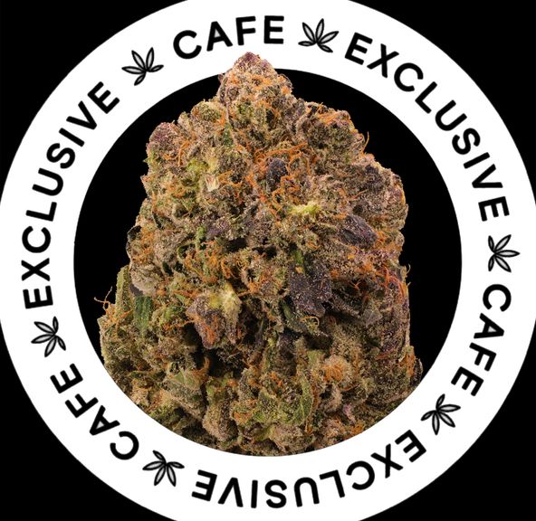 7G CAFE EXCLUSIVES- PINK PIFF