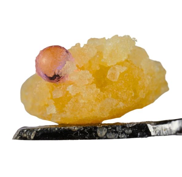 Kali Gold Permenant Marker 1g Sugar 81% *Includes FREE Terp Pearl*
