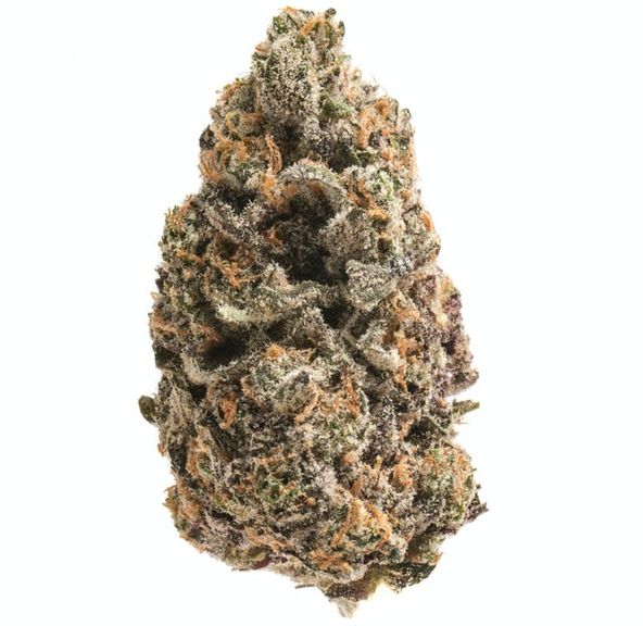 Amnesia Haze 3.5g (curaleaf)