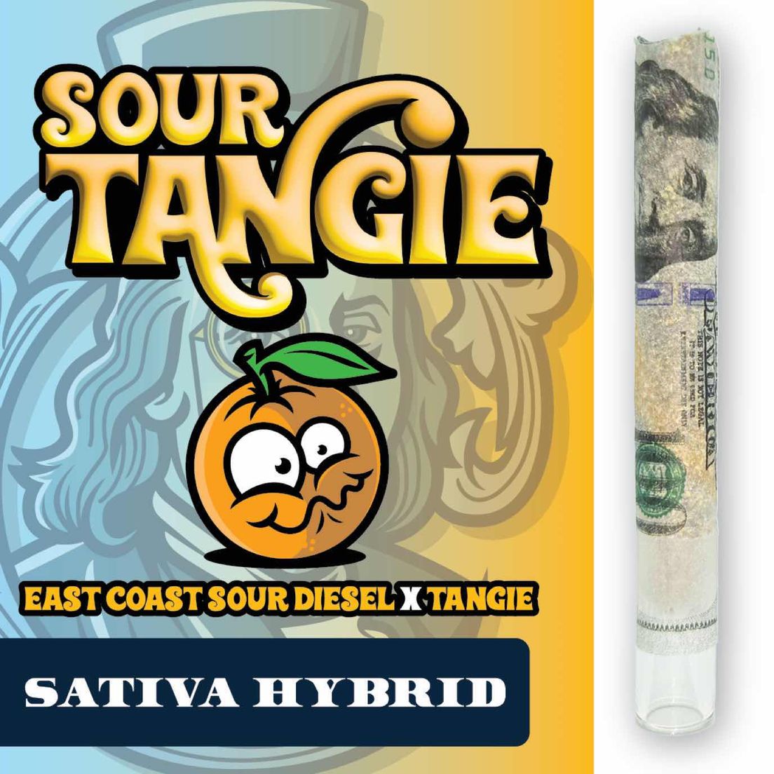 RR|Fancy Franklin|Sour Tangie