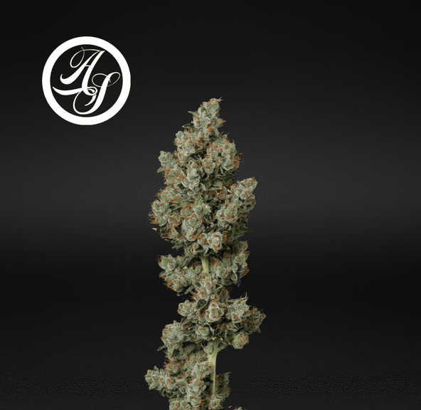 Alt Sol | Kosher Kush - Flower | 3.5g | Indica-Hybrid