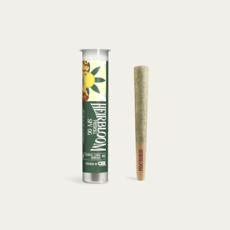 SFV OG Pre Roll