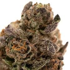 Sticky - Rainbow Gelato (3.5g)