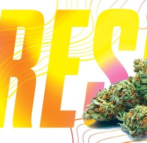 Appleberry 29.33% THC OUNCE