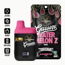 Claybourne Co. - Gassers Liquid Diamonds AIO - 1g - Watermelon Z