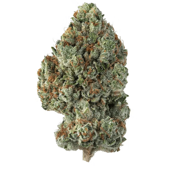 Khalifa Kush