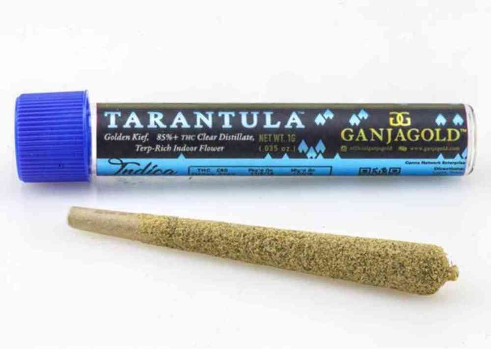 Ganja Gold - Preroll - Blue Tarantula - Forbidden Fruit - 1.2g