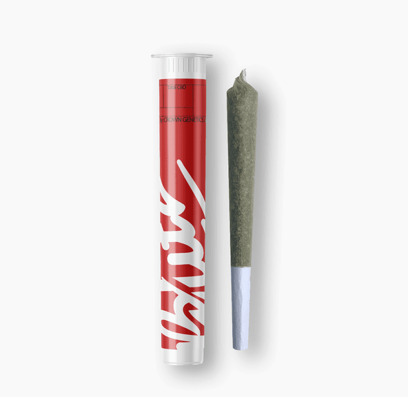 Blitz Blue Dream Preroll 1g