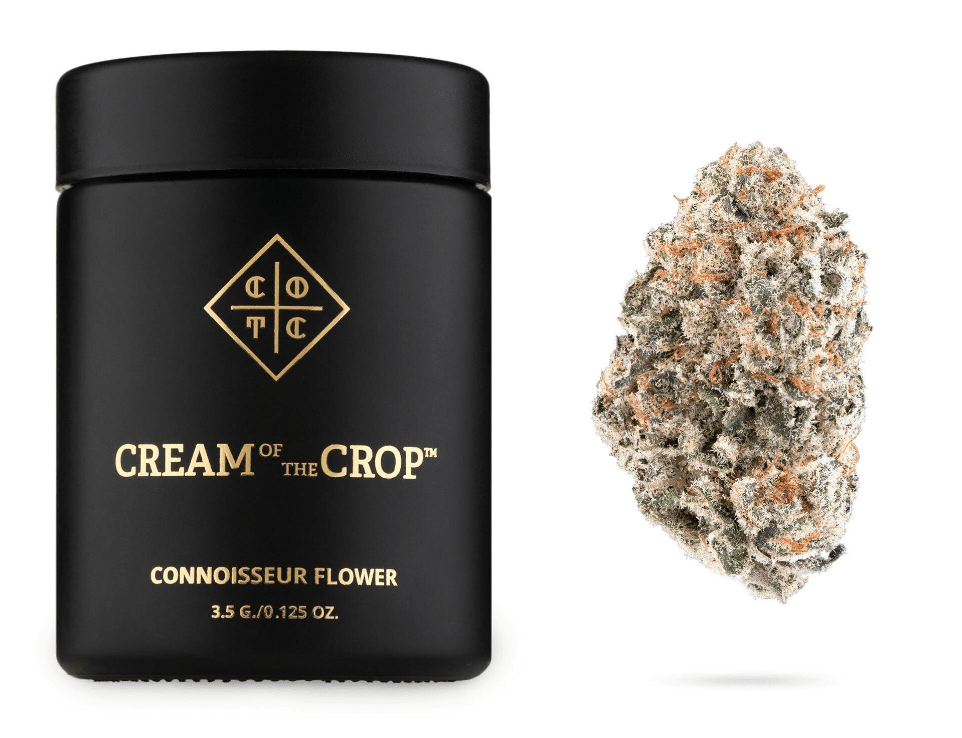 COTC- 3.5 PINEAPPLE TARTZ