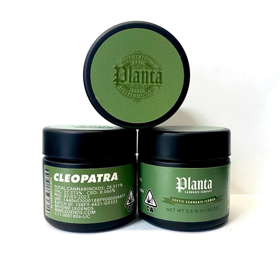 B. Planta Cannabis Company 3.5g Flower - Quality 9.5/10 - Cleopatra