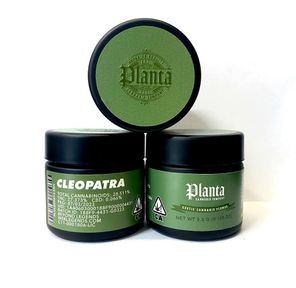 B. Planta Cannabis Company 3.5g Flower - Quality 9.5/10 - Cleopatra