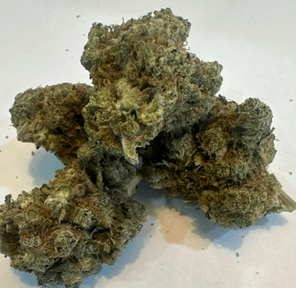 ANIMAL CITRUS SURGE 28G FLOWER SATIVA 30.95%THC