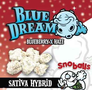 RR|$noballz|Blue Dream|Flower