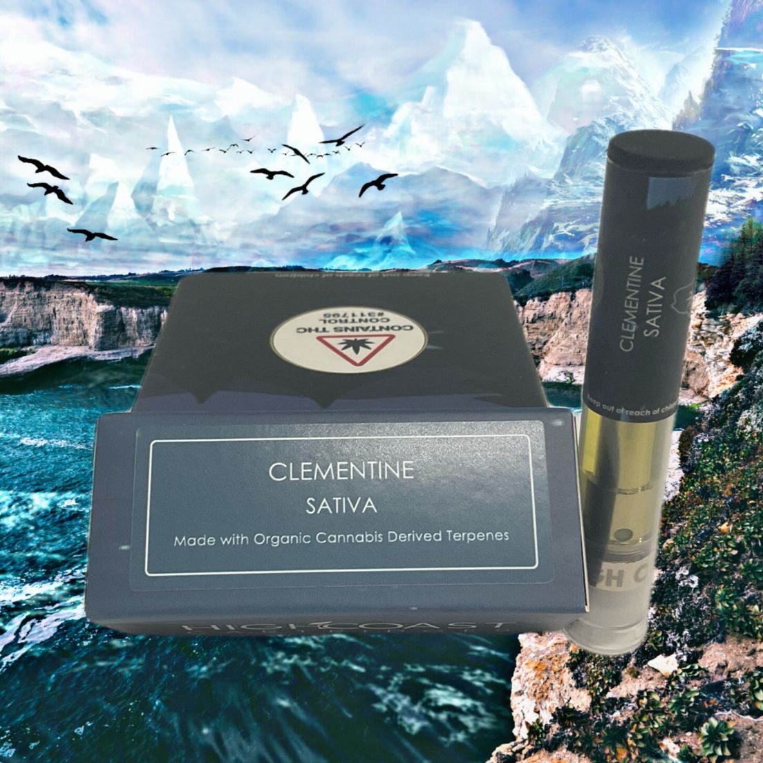 High Coast Clementine Cartridge - 1g