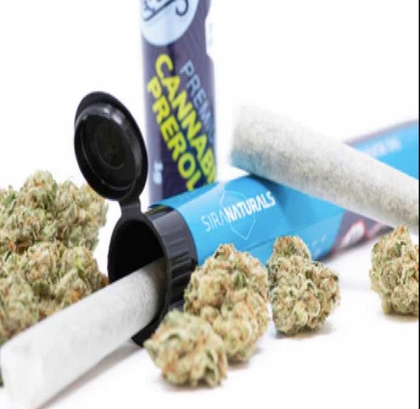 Blackwater #2 (I) | 1g Preroll | Sira Naturals