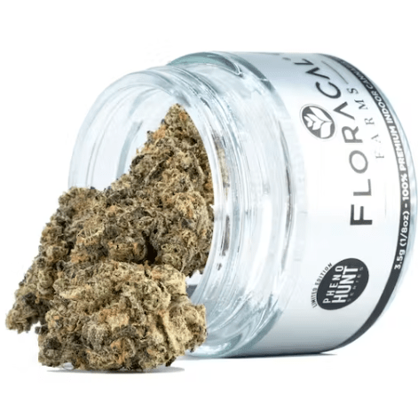 Jokerz | Hybrid Flower