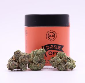 Daze Off- WATERMELON Z 3.5G