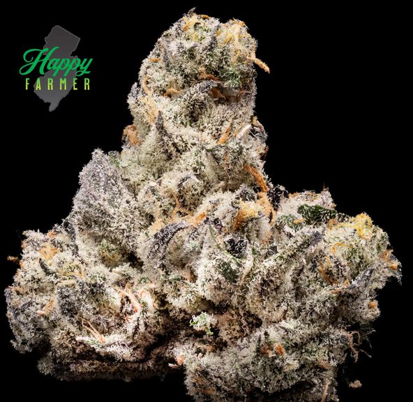The Happy Farmer | Blackout Bobby | 3.5G Flower