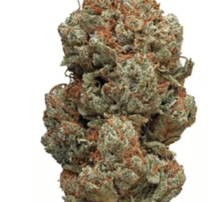 ANIMAL WTF OG PREMIUM FLOWER INDOOR 28G 33.3%THC INDICA