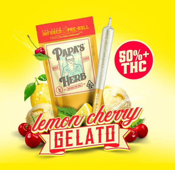 1g Lemon Cherry Gelato INFUSED Pre Roll - PAPAS HERB