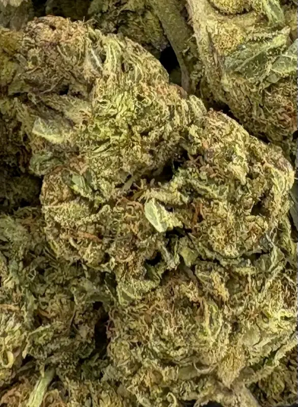 14G - GORILLA PIE (AAA)