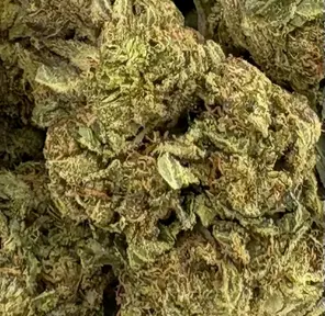 14G - GORILLA PIE (AAA)